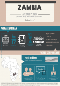 Infographic about the average person in Zambia