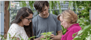 three people standing surrounding a green plant