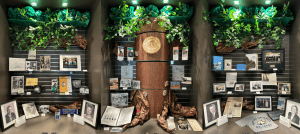 Exhibit of Central Piedmont artifacts of photos, brochures and historical items surrounding a large tree with the college seal on the tree trunk.