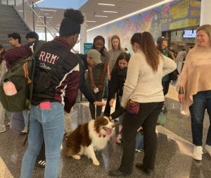 Students gathered around a dog, petting it